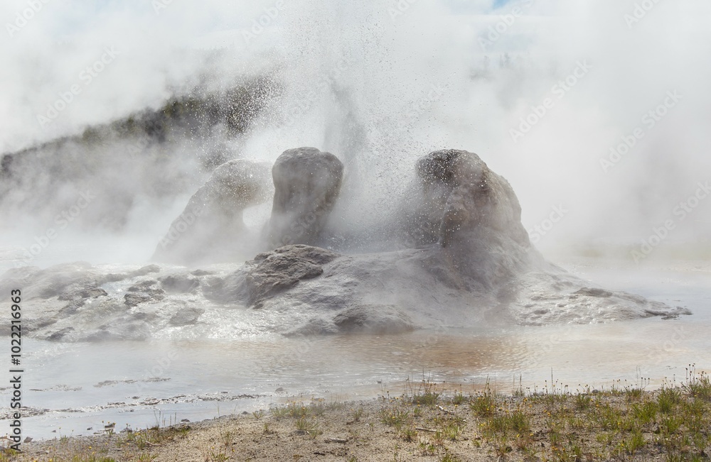 Obraz premium Yellowstone's Upper Geyser Basin, home to Old Faithful and more