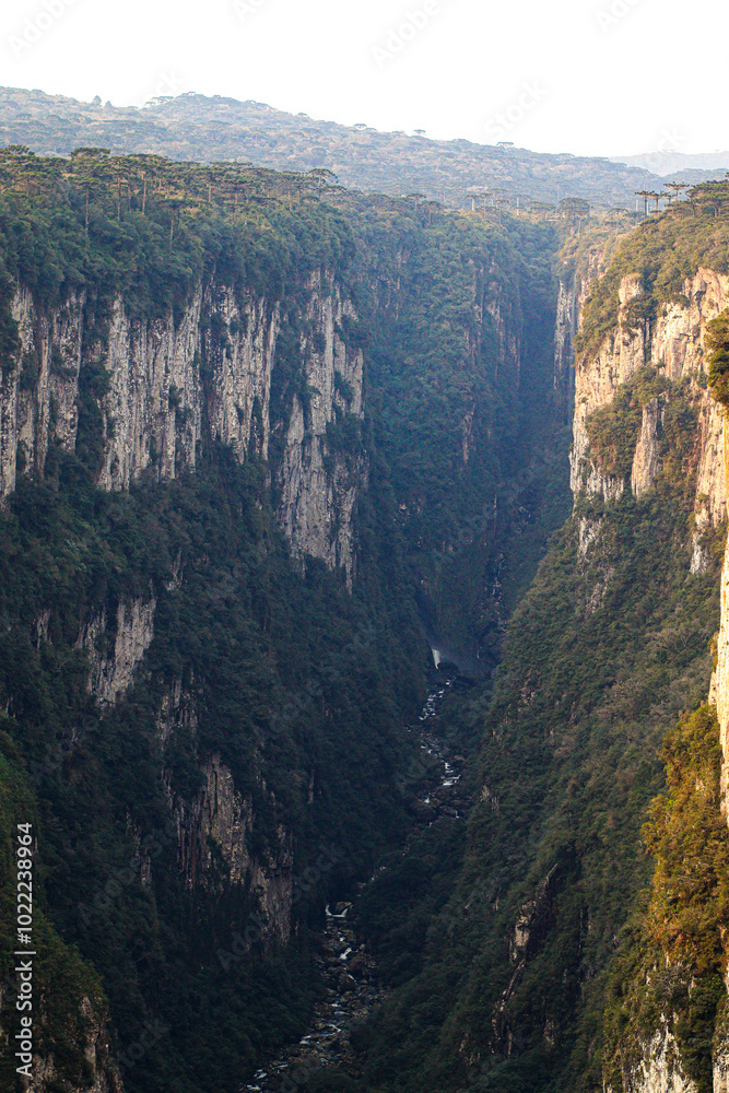 Fototapeta premium grand canyon national park