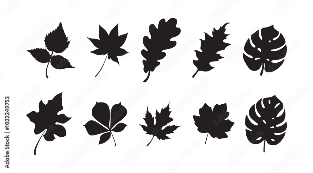 Fototapeta premium tropical leaves palms black vector design illustration