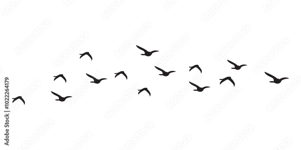 Obraz premium silhouettes of birds flying in the sky