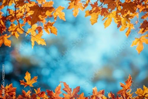 Fallen Leaves Season Background