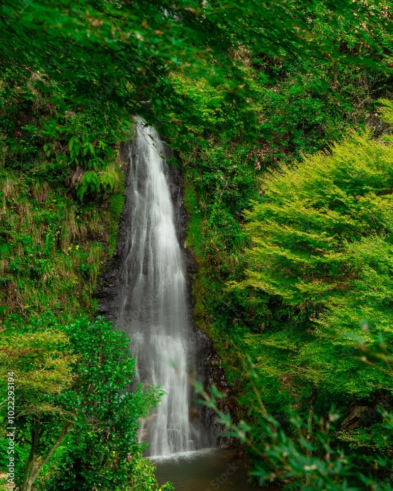 滝の景観 滝の景観