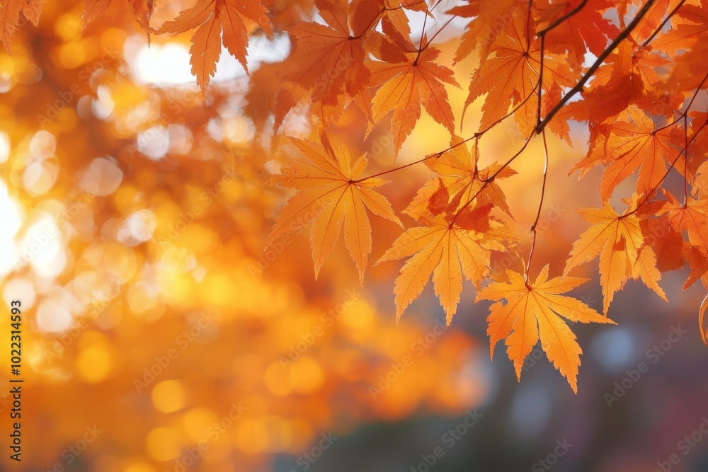 Fallen Leaves Season Background