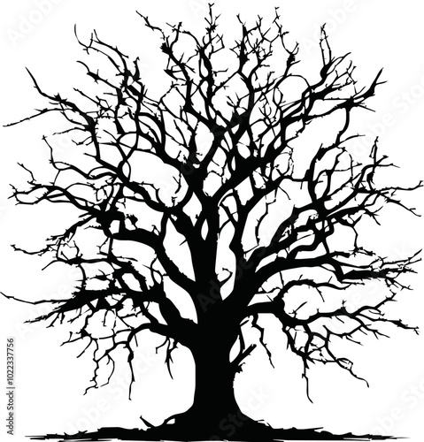 Old dry, bare tree. Black silhouette. Sketch hand drawn. Isolated on white background. Vector illustration