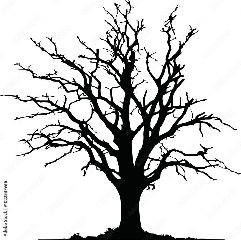 Old dry, bare tree. Black silhouette. Sketch hand drawn. Isolated on white background. Vector illustration Old dry, bare tree. Black silhouette. Sketch hand drawn. Isolated on white background. Vector illustration