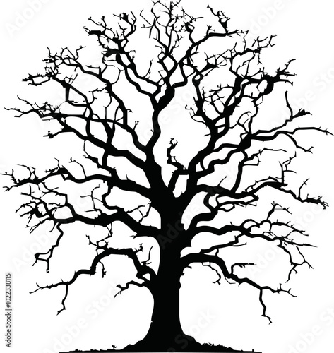 Old dry, bare tree. Black silhouette. Sketch hand drawn. Isolated on white background. Vector illustration