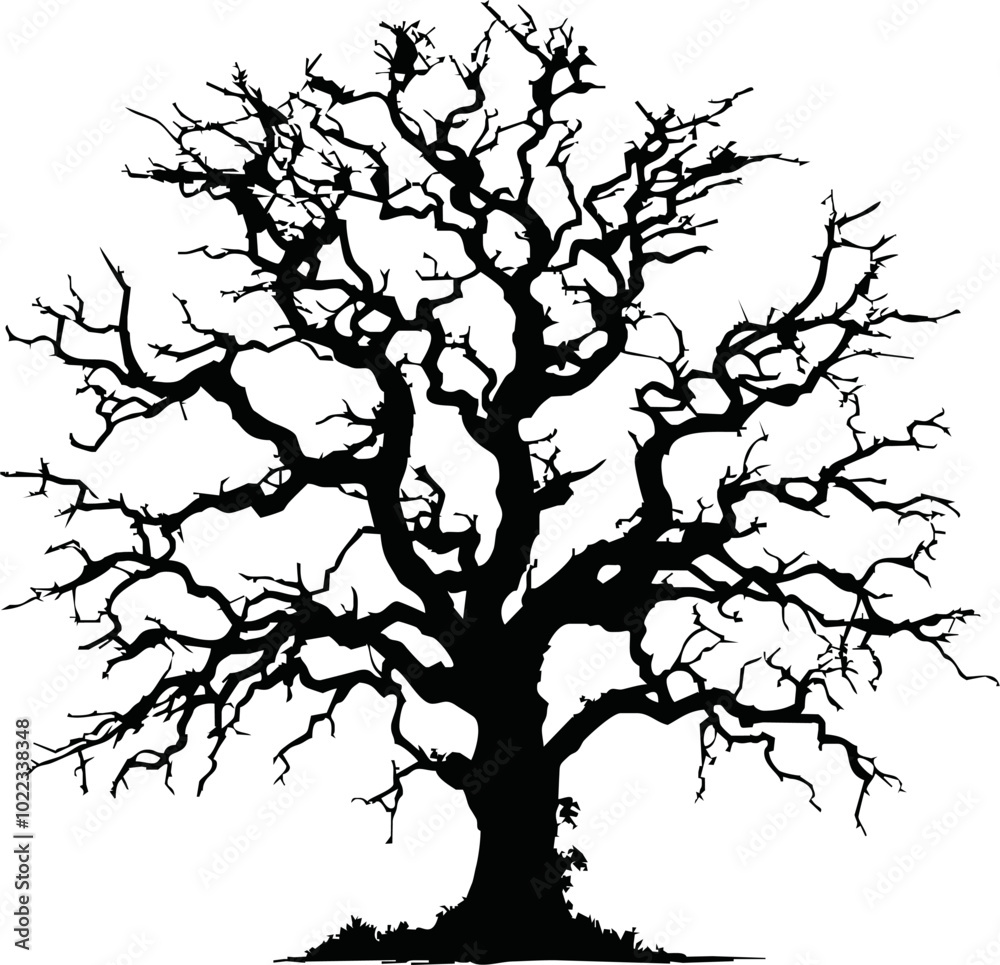 Old dry, bare tree. Black silhouette. Sketch hand drawn. Isolated on white background. Vector illustration