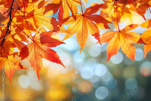 Fallen Leaves Season Background