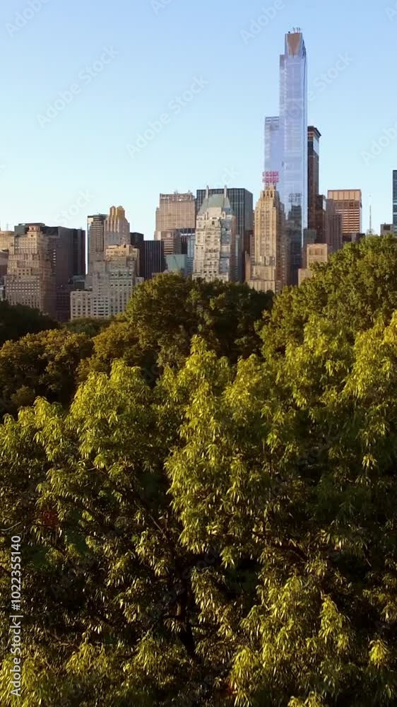 A Lush and Vibrant Tree Canopy Spreading Out Vividly Against a Stunningly Clear Sky Above A Lush and Vibrant Tree Canopy Spreading Out Vividly Against a Stunningly Clear Sky Above