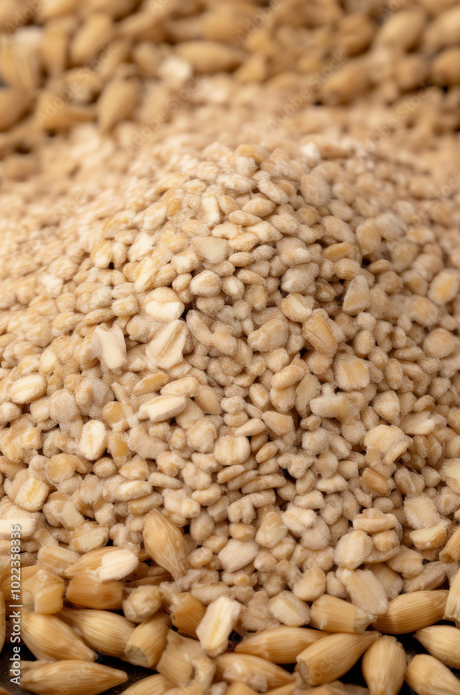 close up of a pile of grains close up of a pile of grains