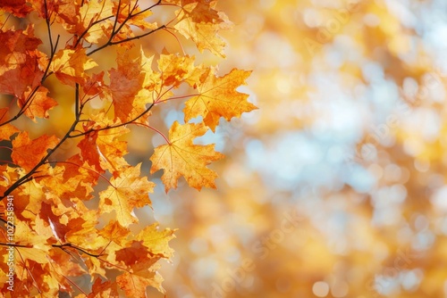 Fallen Leaves Season Background