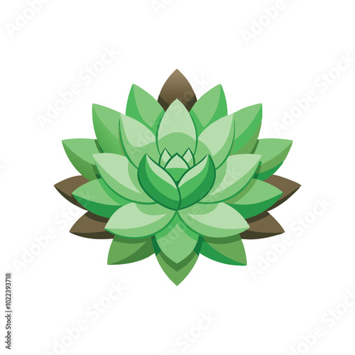  Sedum flower isolated flat vector illustration on white background.