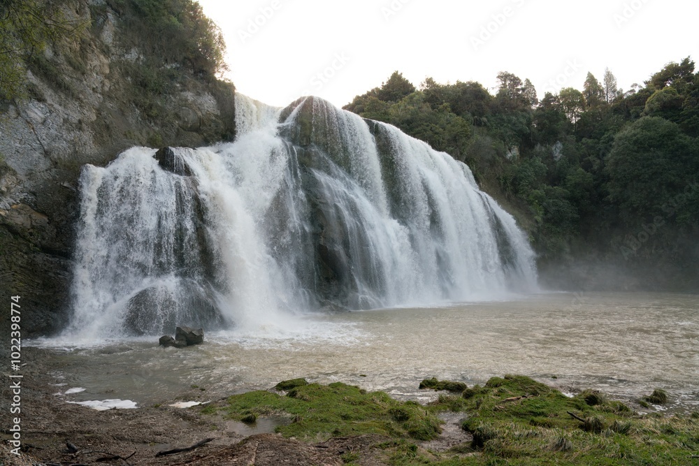 Waihi Falls in New Zealand - Majestic Waterfall in Lush Forest Waihi Falls in New Zealand - Majestic Waterfall in Lush Forest