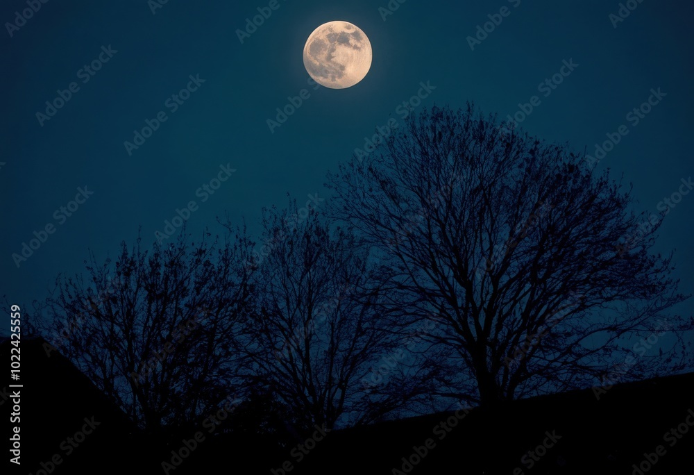 A bright full moon in the clear sky seen through a tree leaves in the early morning before sunrise A bright full moon in the clear sky seen through a tree leaves in the early morning before sunrise