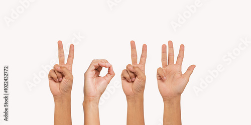 Set of female or male hands showing the number 2024. Happy new year and holiday concept. New Year at sunset. welcome to the start of the new year 2024. Sign the year by hand.