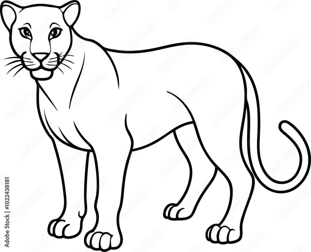 Obraz premium Panther isolated on white background.