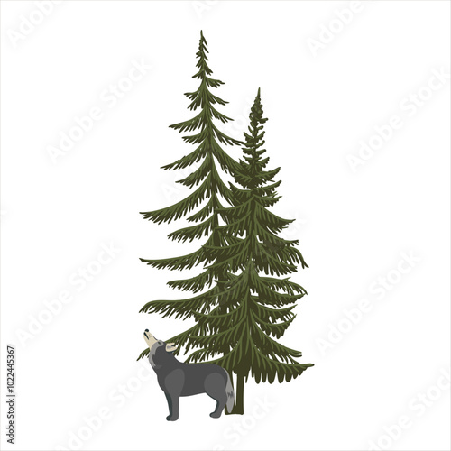 vector drawing fir trees and wolf, spruce trees and animal, coniferous trees, isolated at white background, hand drawn illustration