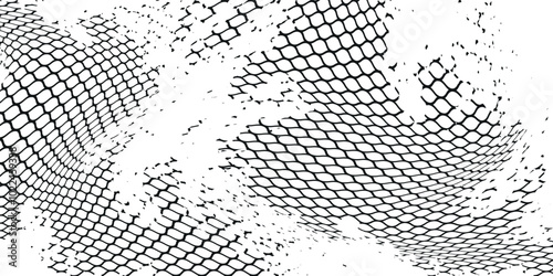 Black snake skin pattern isolated on white background eps 10