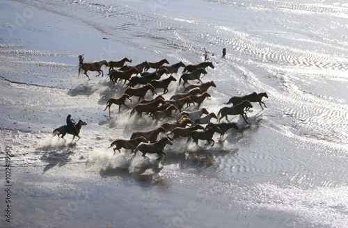 Pasang Prairie, Inner Mongolia, China - September 25, 2016: Male mongolian chasers are driving horses over a stream photo