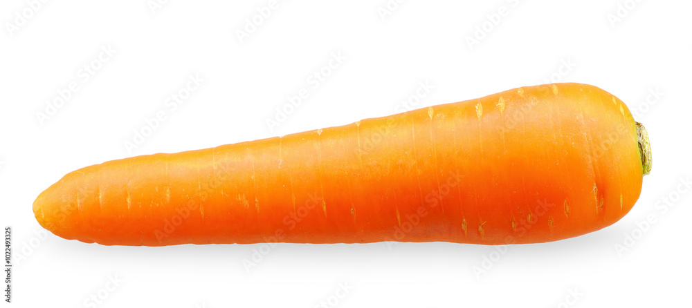 carrot vegetable isolated on white background. carrot vegetable isolated on white background.