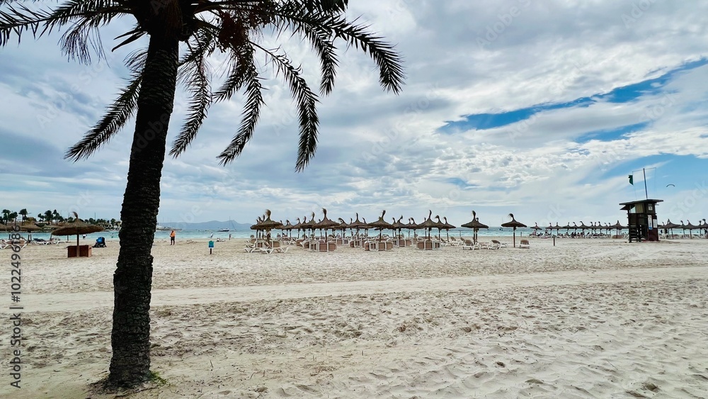 Alcudia Beach