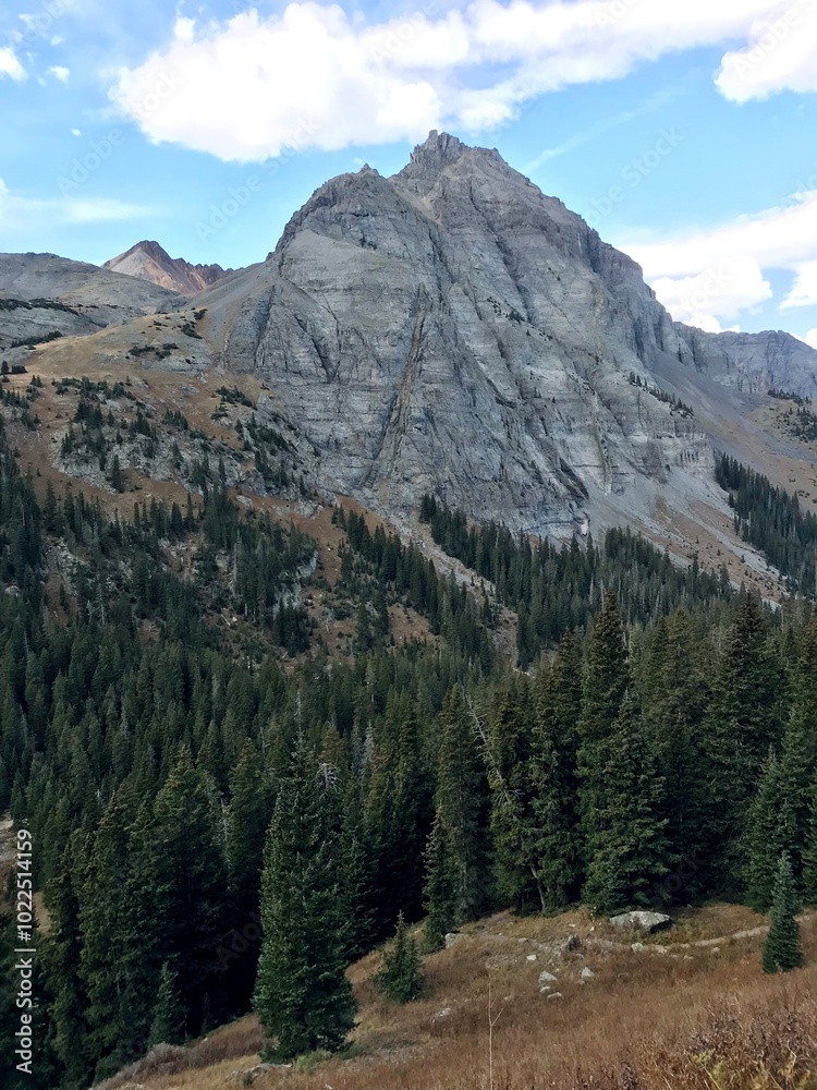 Fototapeta premium Autumn forest in the mountain