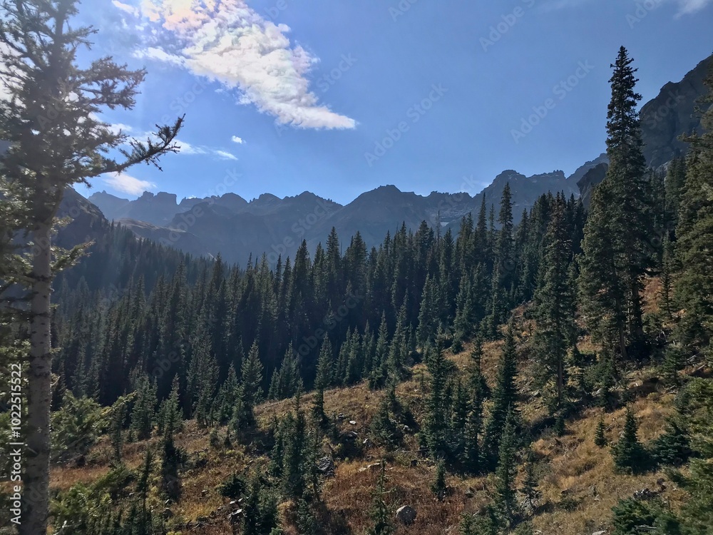 Obraz premium Autumn forest in the mountain 