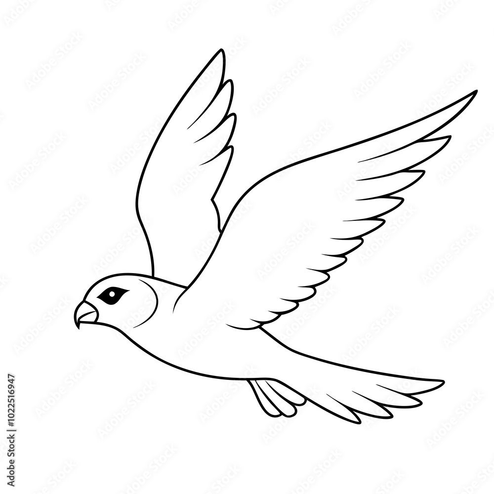 Obraz premium american-kestrel-flying