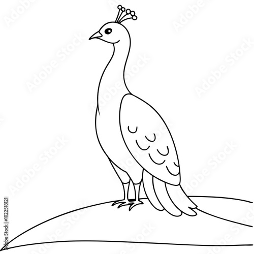 peacock-sitting