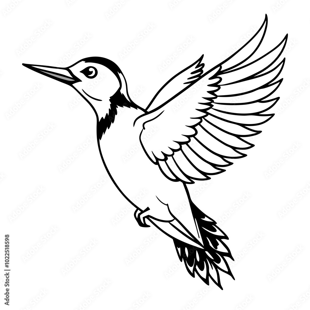 Fototapeta premium woodpecker-bird-jumping line art