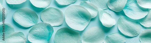 Serene blue backdrop adorned with delicate white petals, a captivating closeup of nature's beauty