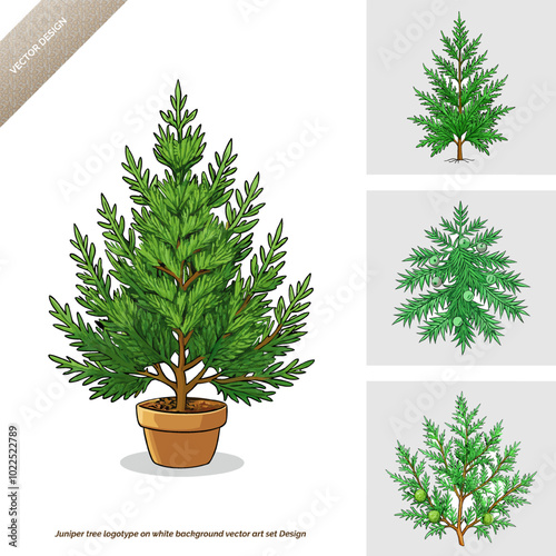 Juniper Tree Logotype  Vector Art Set Design on White Background