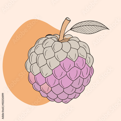 sugar-apple-fruit