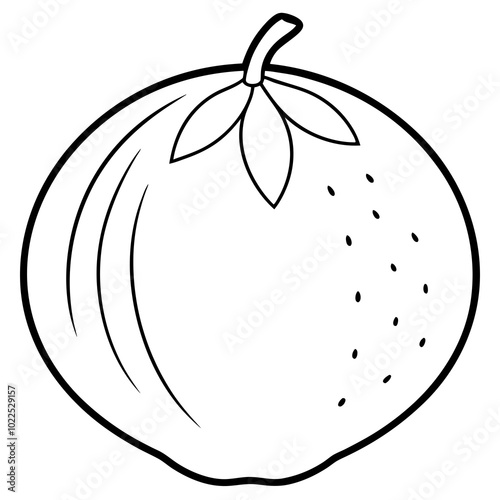 vector illustration of a dekopon- fruit  line art