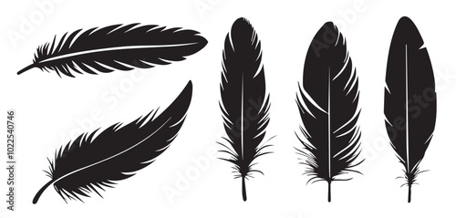 Set of Bird Feather, silhouette of Bird Feather, black icon of Bird Feather