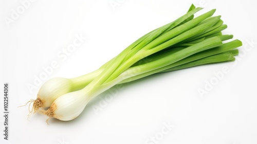 ctrast green onion isolated on white photo