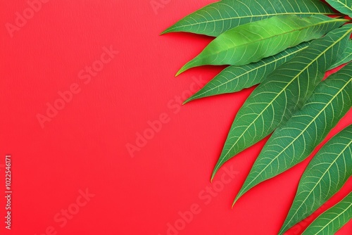 Vivid green leaves bright red background