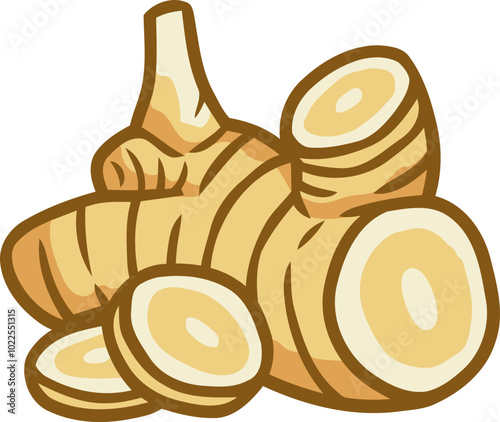 handdrawn galangal illustration