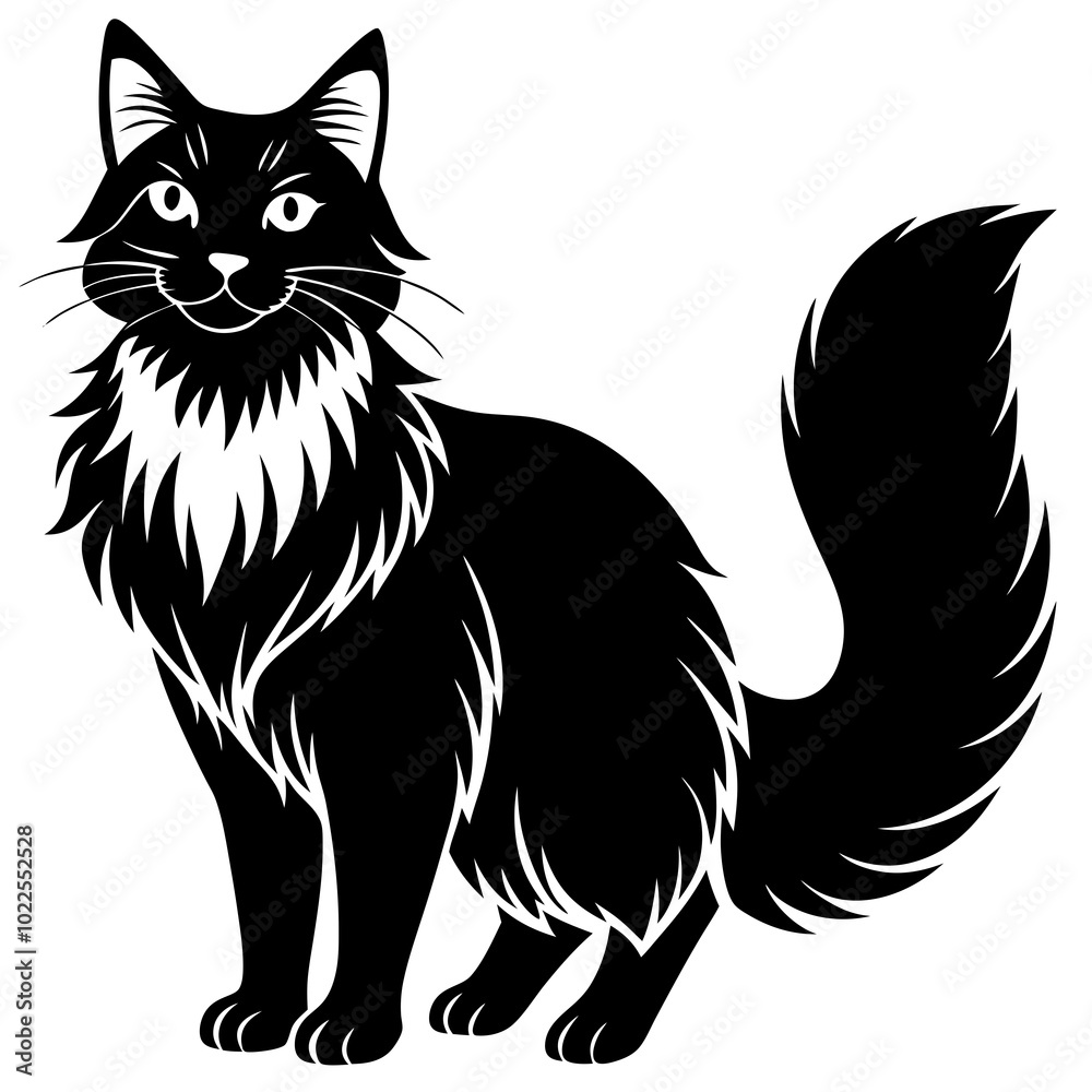 Cat Cat