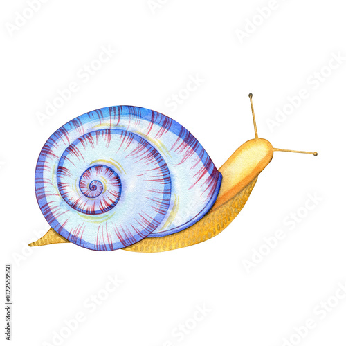 Autumn watercolor png illustration: snail. Hand drawn isolated object on a transparent  background.  Element for design pattern, invitation, textile, card, scrapbook.