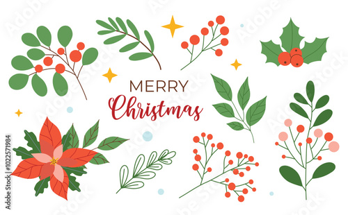 Christmas decoration elements set, berries, flowers, leaves stars, isolated on white background. Vector illustration, flat style