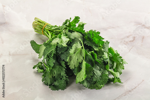 Fresh green cilantro branches heap photo