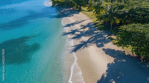 Serene Beach with Clear Water and Palm Shadows