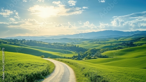 Wallpaper Mural A winding gravel road through vibrant green hills under a bright blue sky in the countryside during midday Torontodigital.ca