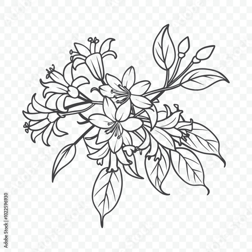 Floral Bunch with Honeysuckle Line Art Vector Featuring Elegant Blossoms and Leaves in a Stunning Design
