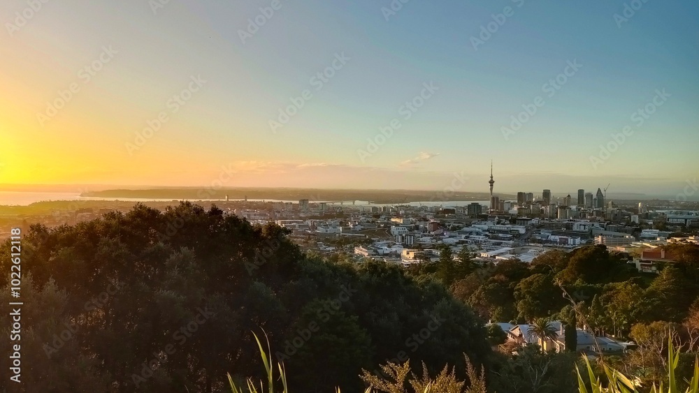 A residential street in Auckland, New Zealand in summer