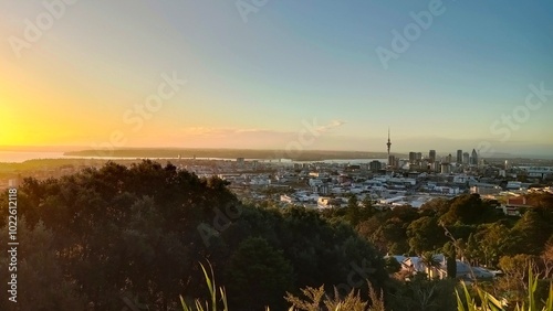 A residential street in Auckland, New Zealand in summer photo