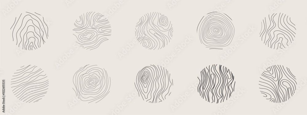 Golden thin line tree ring collection. Elegant gold wooden section texture circle. Topography map geographic grid contour. Wood stump timber. Golden thin line tree ring collection. Elegant gold wooden section texture circle. Topography map geographic grid contour. Wood stump timber.