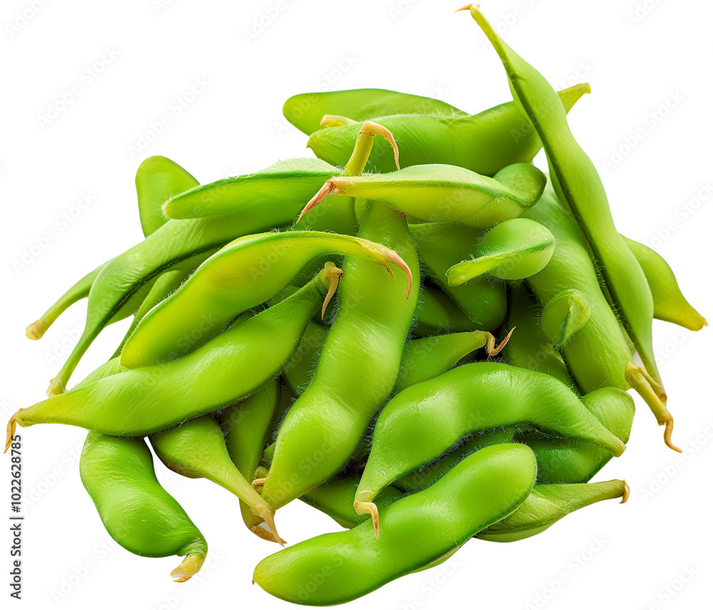 Edamame Dish illustration on a white Background - Edamame isolated Graphic Edamame Dish illustration on a white Background - Edamame isolated Graphic
