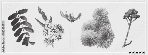 Trendy collage set with flowers. Meadow flower, leaf. Halftone stipple effect.
